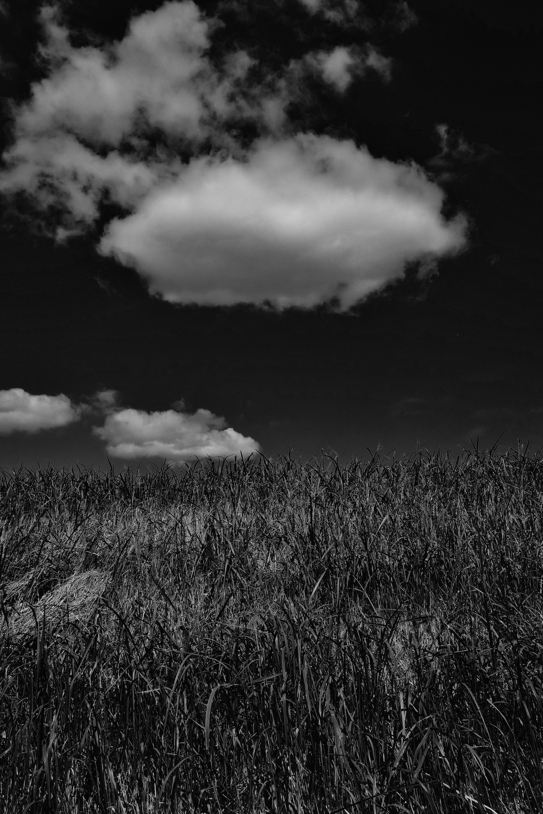 多喜 徹 Toru Taki N0 11